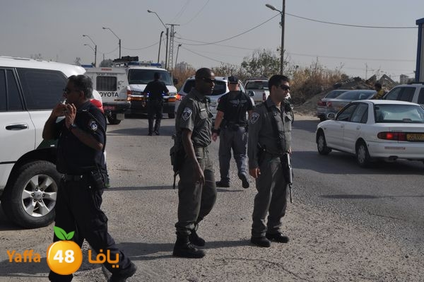 fireludkartoonmasna34 (34).JPG